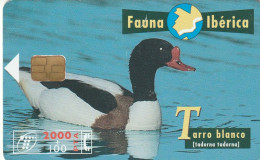 PHONE CARD SPAGNA FAUNA IBERICA  (CV6958 - Emissioni Di Base