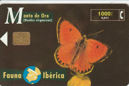 PHONE CARD SPAGNA FAUNA IBERICA  (CV6957 - Emissioni Di Base