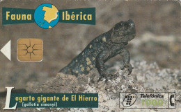 PHONE CARD SPAGNA FAUNA IBERICA  (CV6955 - Basisausgaben