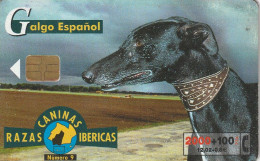 PHONE CARD SPAGNA FAUNA IBERICA  (CV6945 - Emisiones Básicas