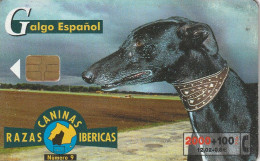 PHONE CARD SPAGNA FAUNA IBERICA  (CV6945 - Emissioni Di Base