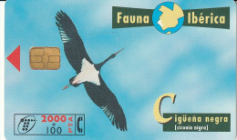PHONE CARD SPAGNA FAUNA IBERICA  (CV6934 - Emisiones Básicas