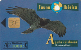 PHONE CARD SPAGNA FAUNA IBERICA  (CV6930 - Emissions Basiques