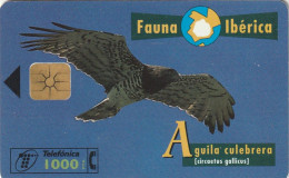 PHONE CARD SPAGNA FAUNA IBERICA  (CV6932 - Emisiones Básicas