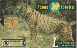 PHONE CARD SPAGNA FAUNA IBERICA  (CV6921 - Emissioni Di Base