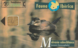 PHONE CARD SPAGNA FAUNA IBERICA  (CV6925 - Emissioni Di Base