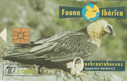 PHONE CARD SPAGNA FAUNA IBERICA  (CV6907 - Basisuitgaven