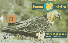 PHONE CARD SPAGNA FAUNA IBERICA  (CV6907 - Emissioni Di Base