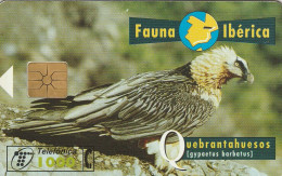 PHONE CARD SPAGNA FAUNA IBERICA  (CV6915 - Emissioni Di Base