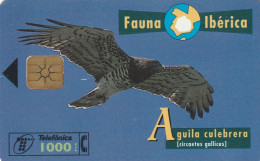PHONE CARD SPAGNA FAUNA IBERICA  (CV6900 - Emissions Basiques