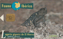 PHONE CARD SPAGNA FAUNA IBERICA  (CV6899 - Emisiones Básicas