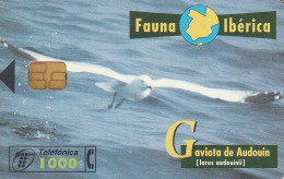 PHONE CARD SPAGNA FAUNA IBERICA  (CV6895 - Emissions Basiques