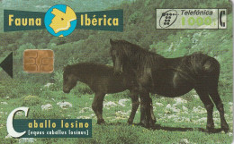 PHONE CARD SPAGNA FAUNA IBERICA  (CV6897 - Emisiones Básicas