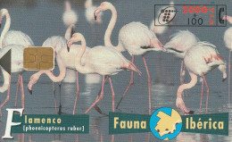 PHONE CARD SPAGNA FAUNA IBERICA  (CV6885 - Emissioni Di Base