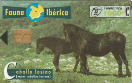 PHONE CARD SPAGNA FAUNA IBERICA (CV6883 - Emisiones Básicas