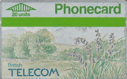 PHONE CARD UK LG (CV6824 - BT Edición General