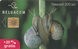 PHONE CARD BELGIO CHIP (CV6668 - Con Chip