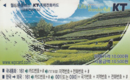 PREPAID PHONE CARD COREA SUD  (CV3701 - Corée Du Sud