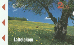 PHONE CARD LETTONIA  (CV5444 - Latvia