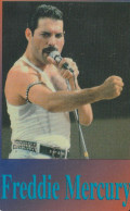 PREPAID PHONE CARD STATI UNITI FREDDIE MERCURY (CV5169 - Musik