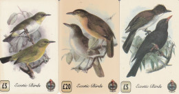 3 PREPAID PHONE CARDS UCCELLI (CV5576 - Songbirds & Tree Dwellers