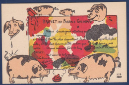 CPA Cochon Pig Caricature Satirique Non Circulé Position Humaine Pot De Chambre Scatologie - Schweine