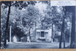 WORTEL : Zeer Oude Postkaart Rond1908 WORTEL-Colonie Habitation Du Directeur  Ed.Meuleman Rethy Gelopen Met Zegel 1 Ct - Hoogstraten