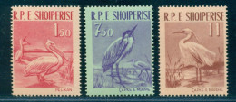 1961 Birds,Dalmatian Pelican,Grey Heron,Little Egret,Albania,Mi.630,MNH - Pelikane