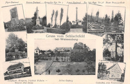 WEISSENBURG-WISSEMBOURG-67-Bas-Rhin-Le Geisberg-Schlachtfeld-Gutleuthof-Schatbusch-Monument Militaire - Wissembourg