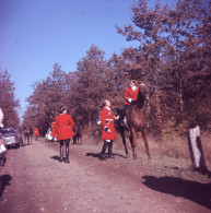 Agfachrome 6/6 Chasse à Courre 1964 à St Fargeau - Dias