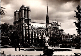 24-12-2023 (2 W 59) France - Notre Dame De Paris (b/w) Vue Du Square René Viviani - Kirchen U. Kathedralen