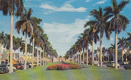 AK 189117 USA - Florida - Palm Beach - Palm Beach