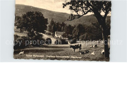 42589596 Waltersdorf Zittau Gasthaus Neu-Sorge Waltersdorf Zittau - Grossschönau (Sachsen)