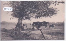 PAYSAGE NORMAND- VACHES AU PATURAGE - Viehzucht