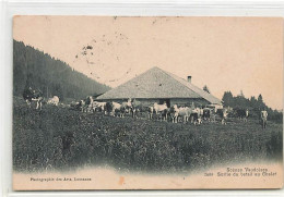 Cachet Rolle Scènes Vaudoises Sortie Du Bétail Au Chalet Jura 1907 Vaches Génisse - Thierrens