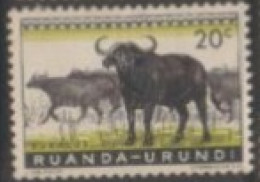 1976 RUANDA URUNDI STAMP (USED) On  Wildlife /Fauna/Mammals /Syncerus Caffer/African Buffalo - Kühe