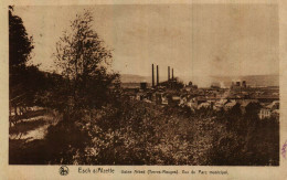 ESCH-SUR-ALZETTE   Usine ARBED (Terres Rouges) Vue Du Parc Municipal - Esch-sur-Alzette