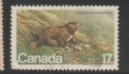 1981  CANADA STAMP (USED) OnENDANGERED WILD LIFE/Marmota Vancouverensis, The Vancouver Island Marmot - Nager