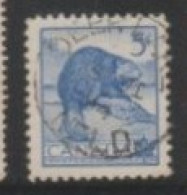 1954 CANADA STAMP (USED) On National Wildlife Week/Fauna/Castor Canadensis/The North American Beaver - Roedores