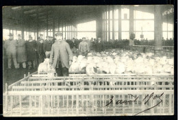 75019 - LES ABATTOIRS DE LA VILLETTE - Marché Aux Moutons  - TTB / RARE - Arrondissement: 19