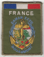 Insigne De Bras Du Régiment D'Infanterie Et De Chars De Marine - Opération Daman XXXIII - Ecussons Tissu