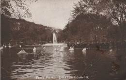 FROG POND -  BOSTON COMMON - Boston