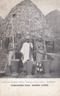 Battage Du Riz SIERRA LEONE Lisk-Carew Brothers Photo Freetown Sierra Leone Registered THRESHING RICE - Sierra Leone