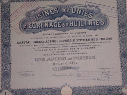 EGYPT - Usines Reunies D`Egrenage &D`Huileries 1923 - 1 Action - Afrika