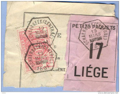 _V919: SCHAERBEEK( CENTRAL) > LIEGE: SP11/ Fragment PETITS PAQUETS Met  " étiquette " : N°17: Type Bb: - Documents & Fragments