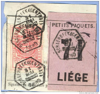 _V945: SCHAERBEEK( CENTRAL) > LIEGE : 3x Afgestempeld: SP11/ Fragment PETITS PAQUETS Met  " étiquette " : N° 71: Type Bb - Documenten & Fragmenten