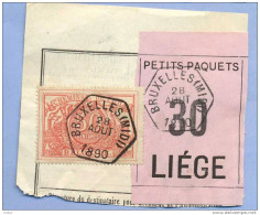 _V996:BRUXELLES(MIDI)  > LIEGE : Fragment PETITS PAQUETS Met   " étiquette ":  SP11/  30 : Type Bc: - Documenti & Frammenti