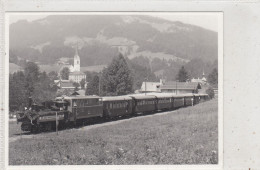 Egg (100 J. VVV Bregenz). Photo, No Postcard. 12,5 X 9 Cm. * - Egg