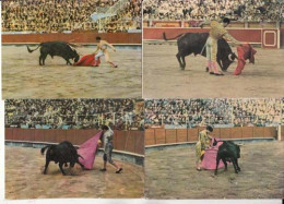 Lot De 16 Cartes - Une Course De Taureaux - Una Corrida - Prionted In Spâin -  PRIX FIXE - Bull