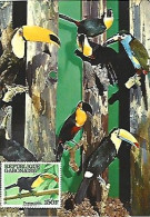 Gabon & Postcard With Stamp, Museum De Geneve, Toucans, Aulacorhynchus Wagleri (6868) - Kuckucke & Turakos